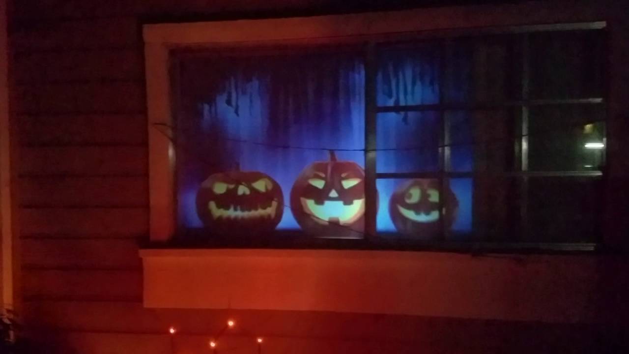 Home Depot Window FX projector  on my window