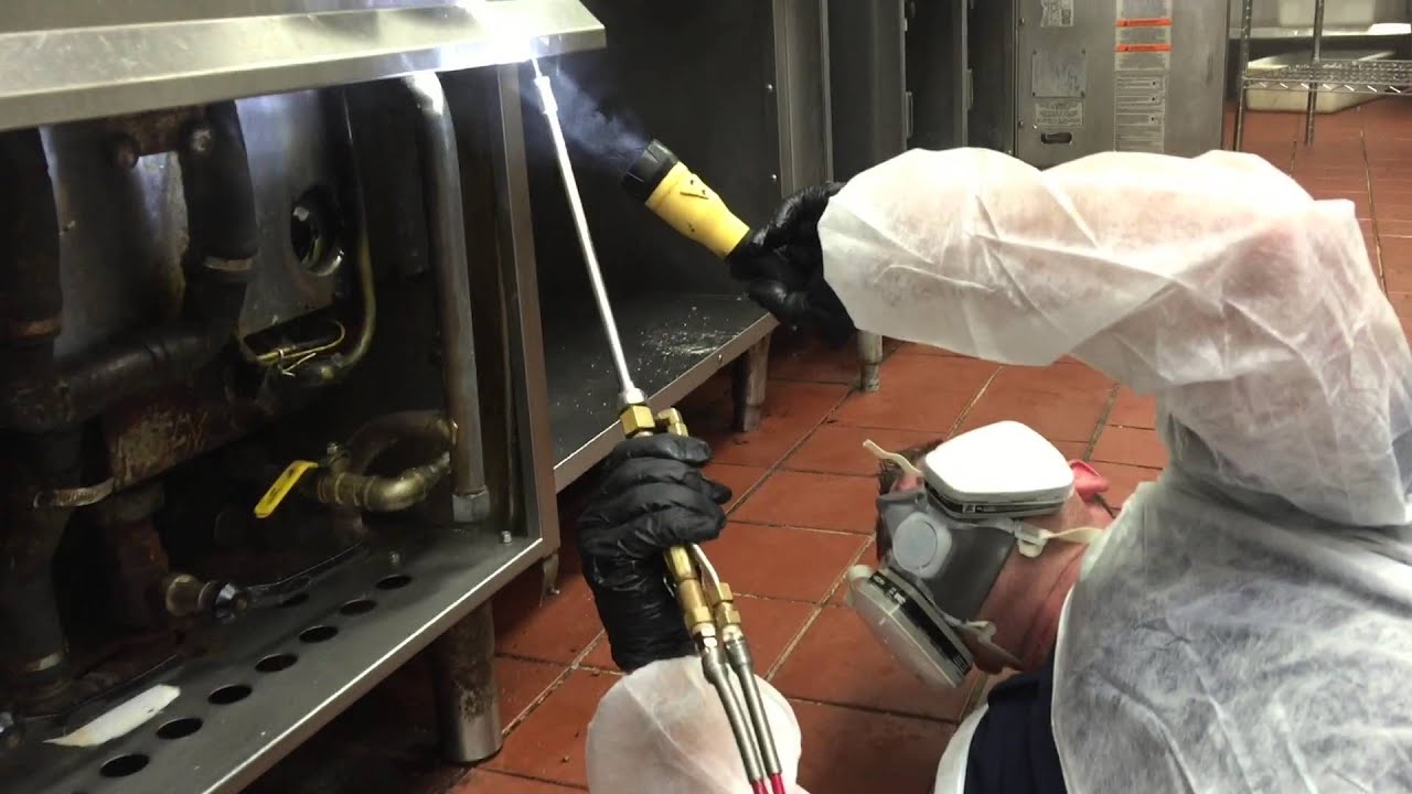 New York City Restaurant Roach Extermination Service