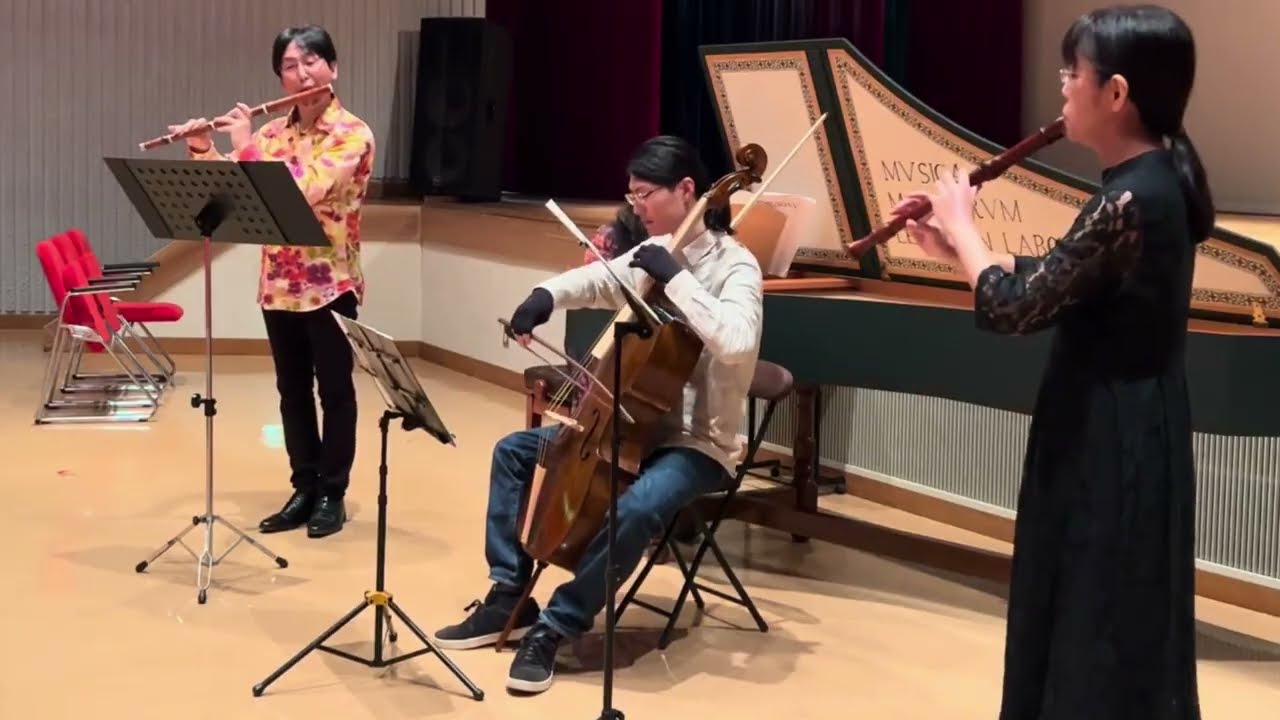Telemann: Quartet in D minor, TWV43:d1 *Cello ver. (from Tafelmusik)