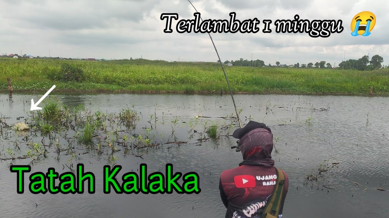 SAYANG SAYA TERLAMBAT DATANG KE SPOT INI || CASTING GABUS BANJARMASIN