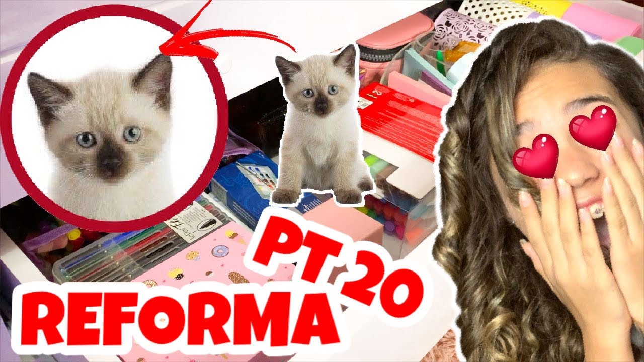 FIZ UMA FAXINA NO MEU QUARTO - DO LIXO AO LUXO - REFORMA DO MEU QUARTO PT 20 - ENTÃO ROBERTA?