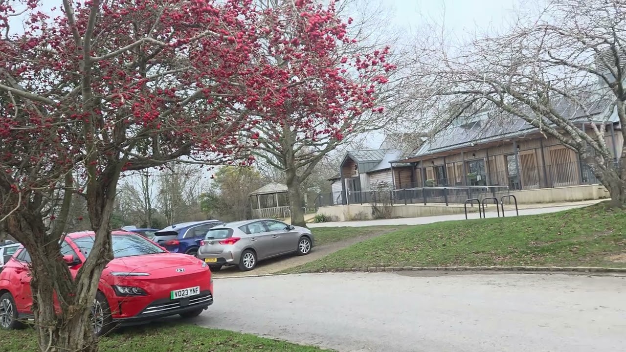 Spring is Near.Join me at our Hearts SEE Centre UK