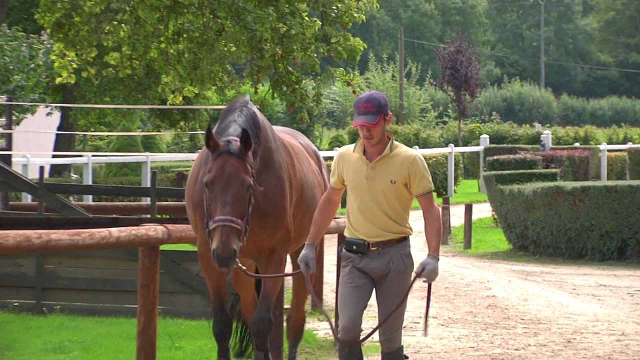 Ecurie du Valsemé, Pension Chevaux proche de Deauville, Ecurie de proprietaire calvados