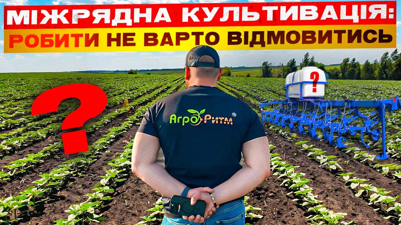 МІЖРЯДНА КУЛЬТИВАЦІЯ:КРН НА СМІТНИК ЧИ НА ПОЛЕ? ОГЛЯД АЛЬДАЗОР:ФАЗА 3 ПАРИ.