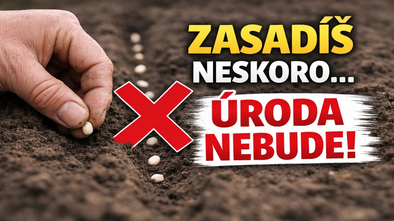 MARCOVÝ VÝSEV: Týchto 20 RASTLÍN vám zaručí úrodu snov! (Náš overený zoznam)