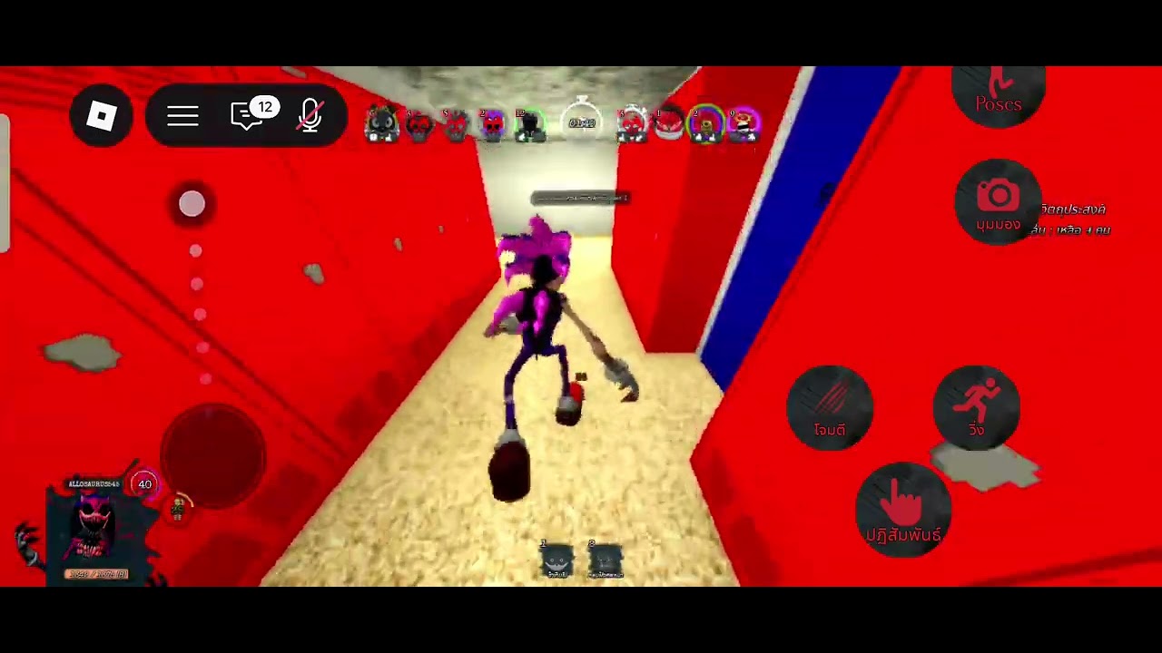 EXE