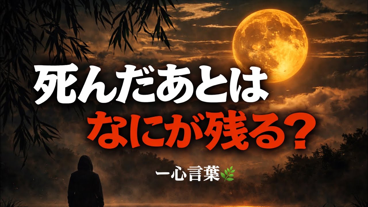 人は死んだあと、何が残る？写真も思い出も、時間とともに静かに消えていく。だからこそ今この瞬間を大切に。#名言 #心に響く言葉 #深い言葉 #禅心 #オリジナル曲 #AI音楽 #癒しの音楽 #心言葉