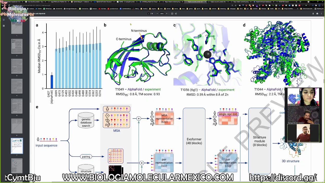 La tecnología de Inteligencia Artifical AlphaFold para predecir estructuras 3D proteícas.