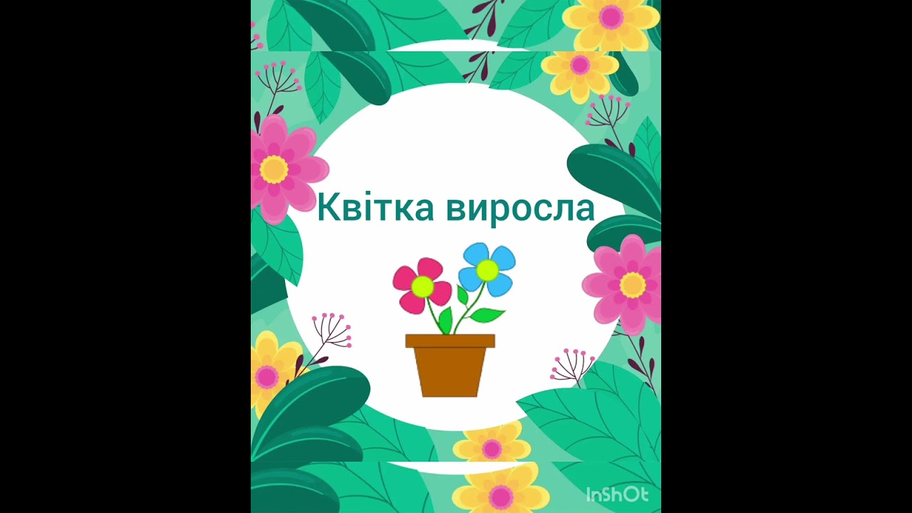 Дид.гра 