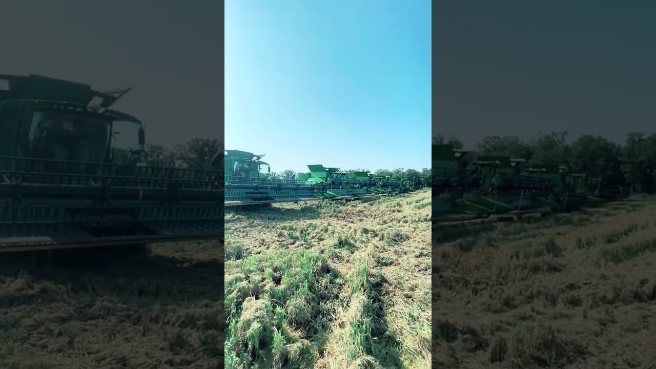 Your 2023 Rice Harvest Lineup