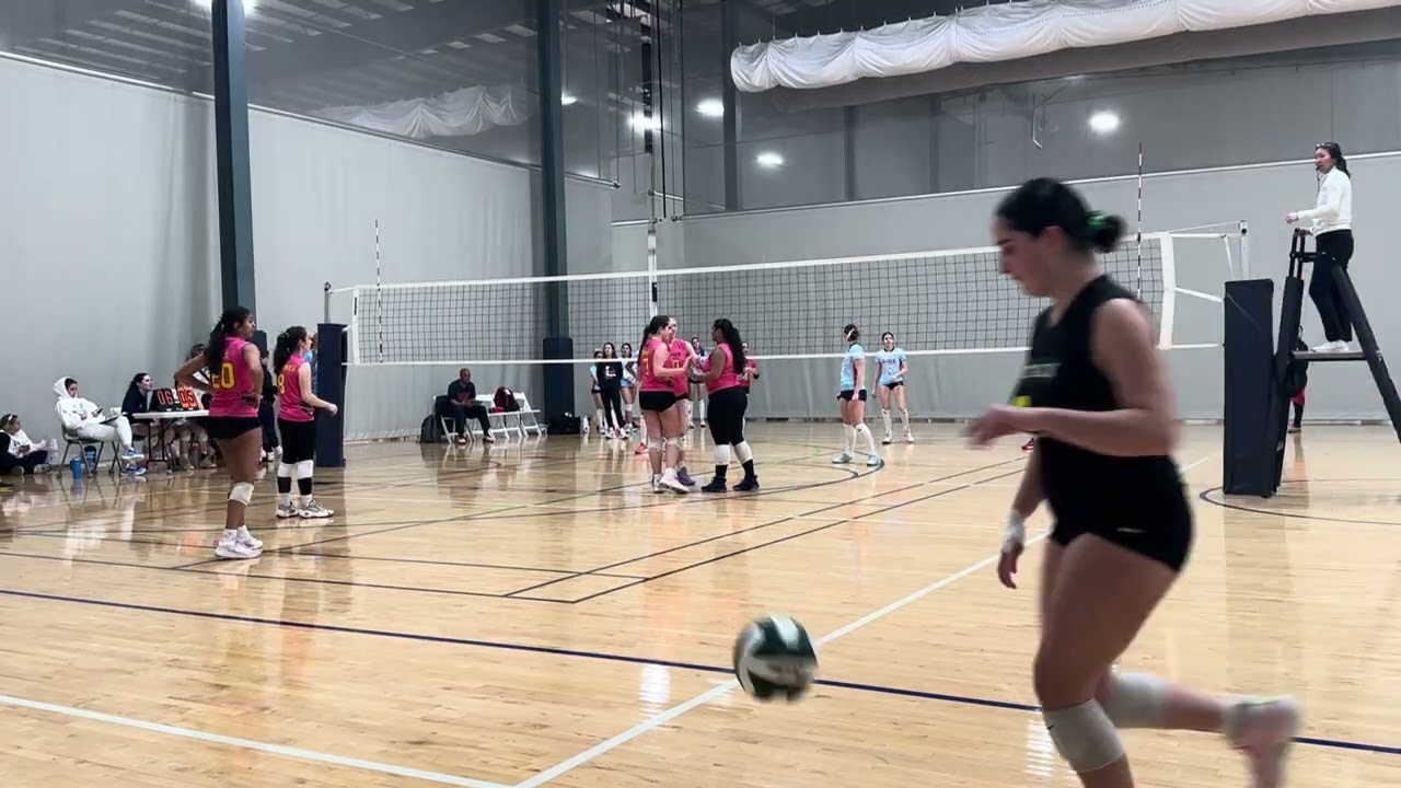 IMG 4961