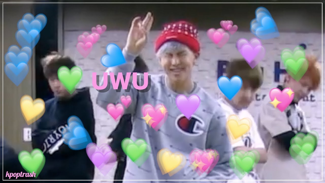 BTS' Boy In Luv Dance Practice WYDN/Fangirl and Fanboy Ver.