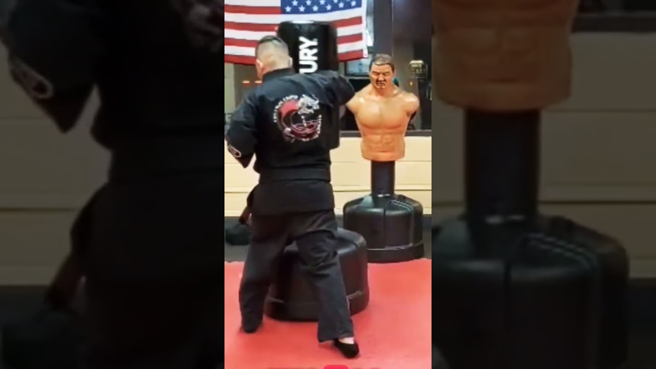Kenpo  Twirling Wings Beginner Tutorial 