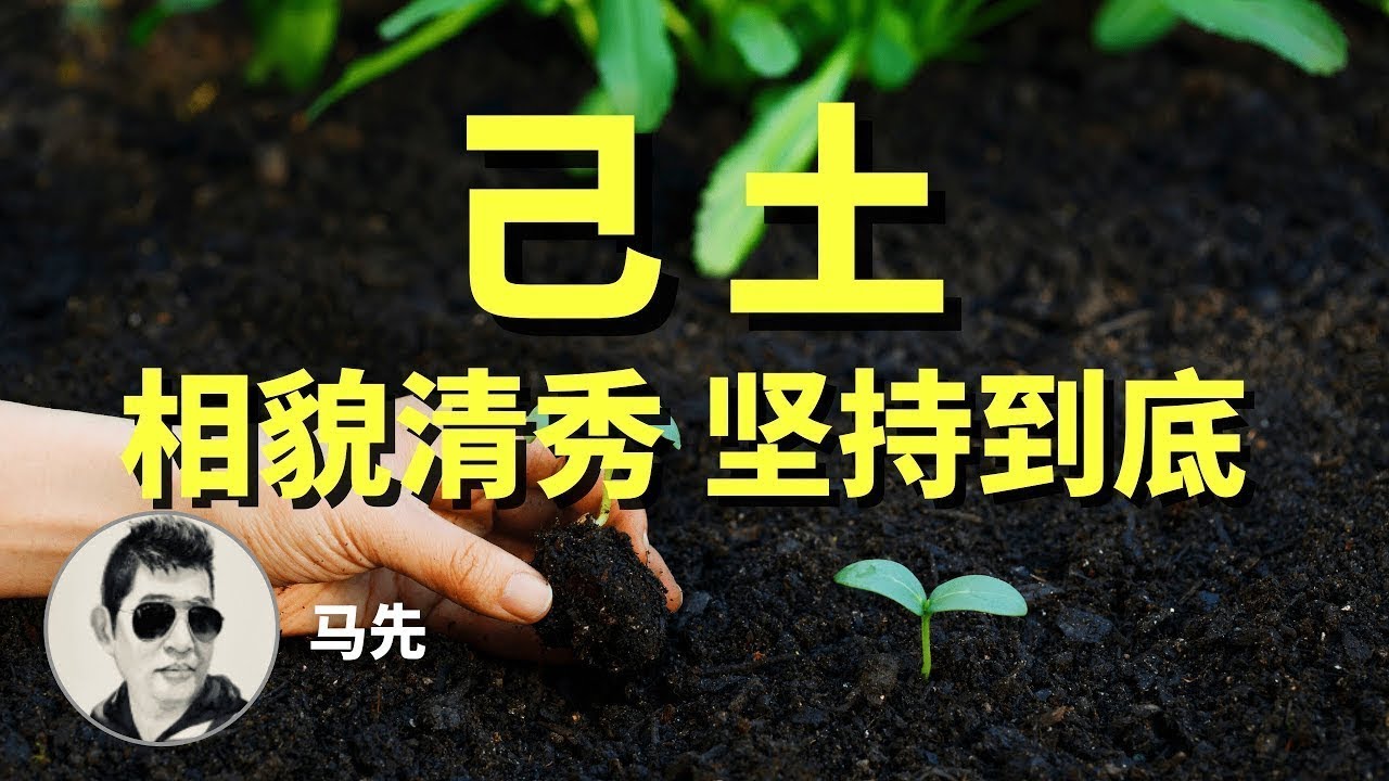 美女俊男，有明星潜质的命——己土：相貌清秀，内向，内敛，讲究内涵，没啥主见，做事略显胆怯却能坚持到底。不同的己土的人生里会出现哪些趋势？