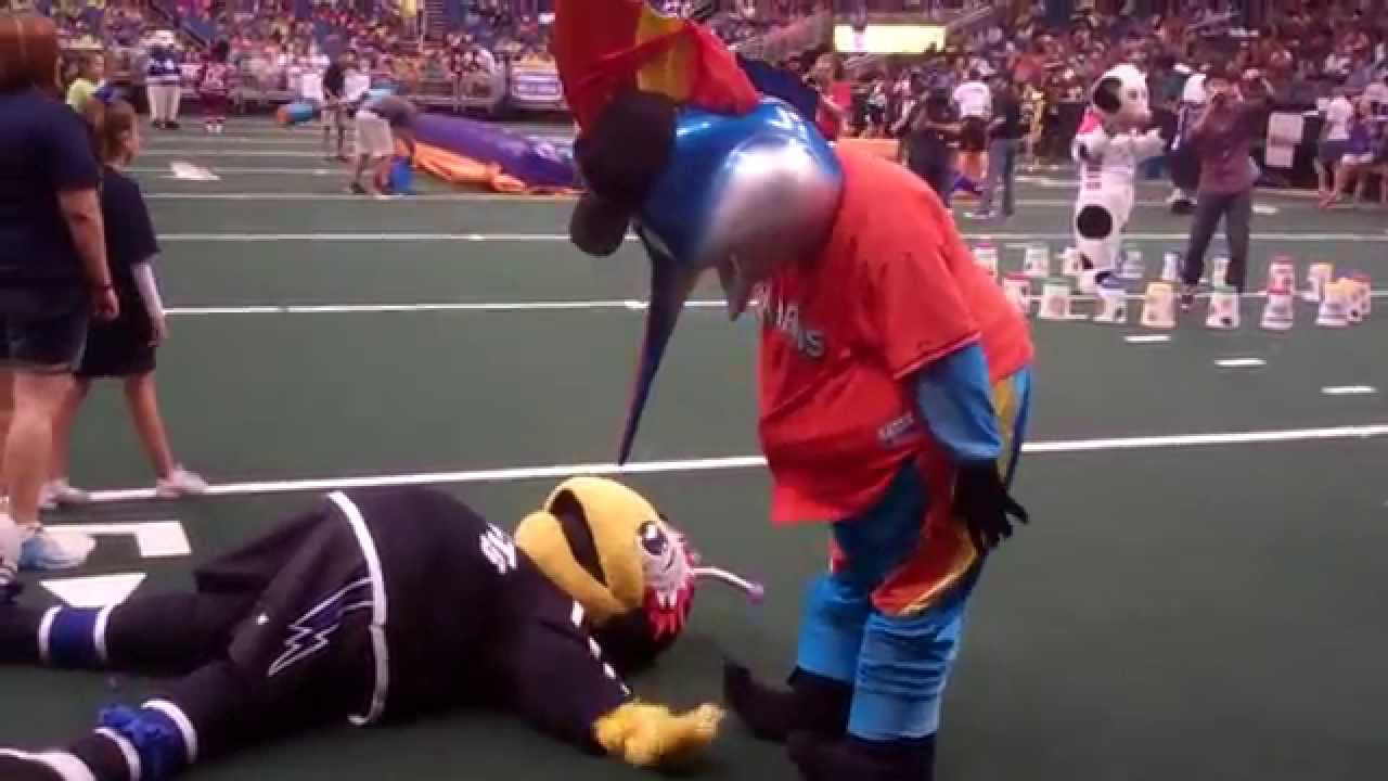 Billy the Marlin at Wawa Mascot Games June 2015