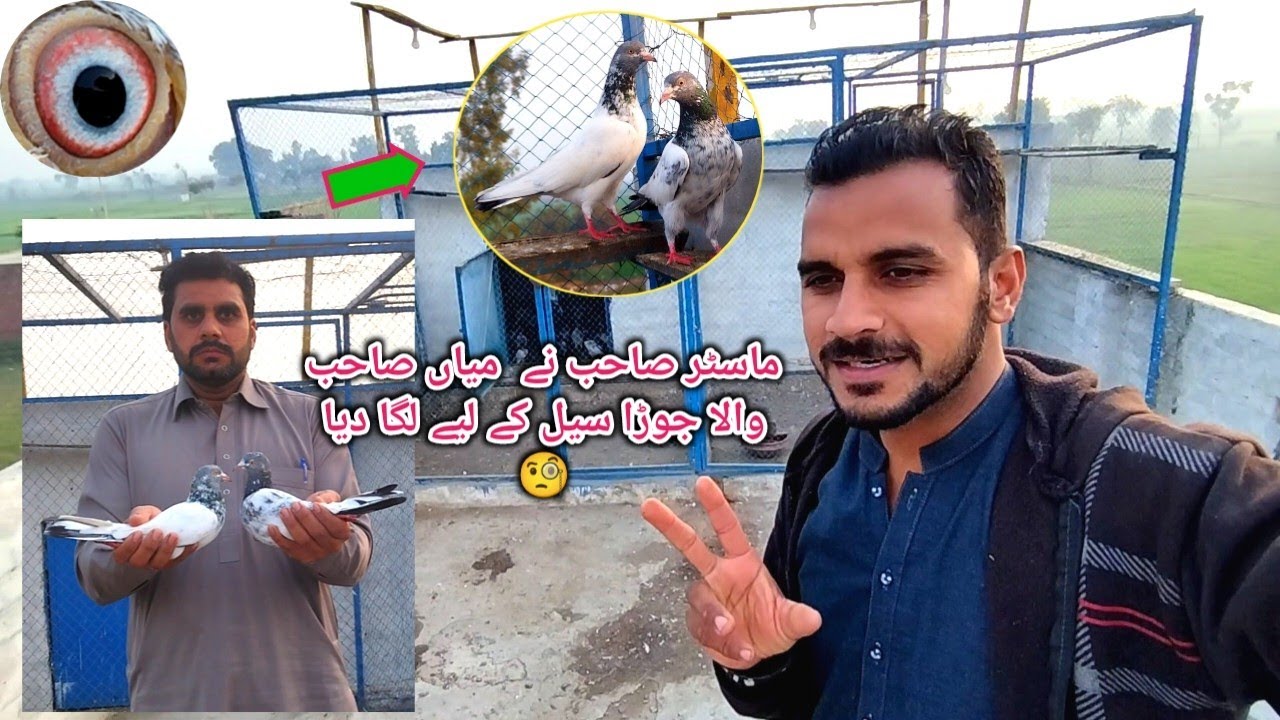 Master Saab Ne Mian Saab Wala Jora Sale Pe Lga Diya 🧐