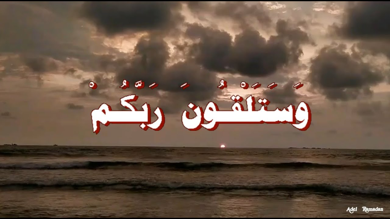 حديث  :  فإن دماءكم وأموالكم وأعراضكم عليكم حرام ، كحرمة يومكم هذا، في بلدكم هذا ، في شهركم هذا