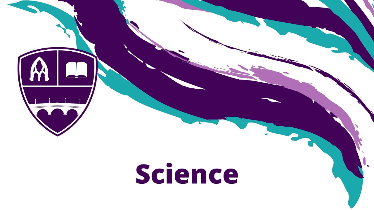 Year 9 Science Lesson 9 Chemical and physical barriers