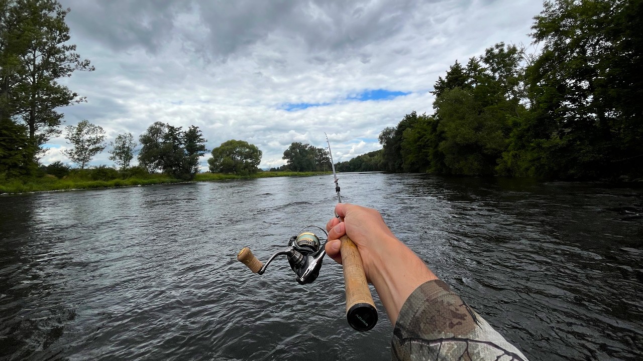 The Perfect TROUT Fishing Day - Rainbow & Brown TROUT on the Big River