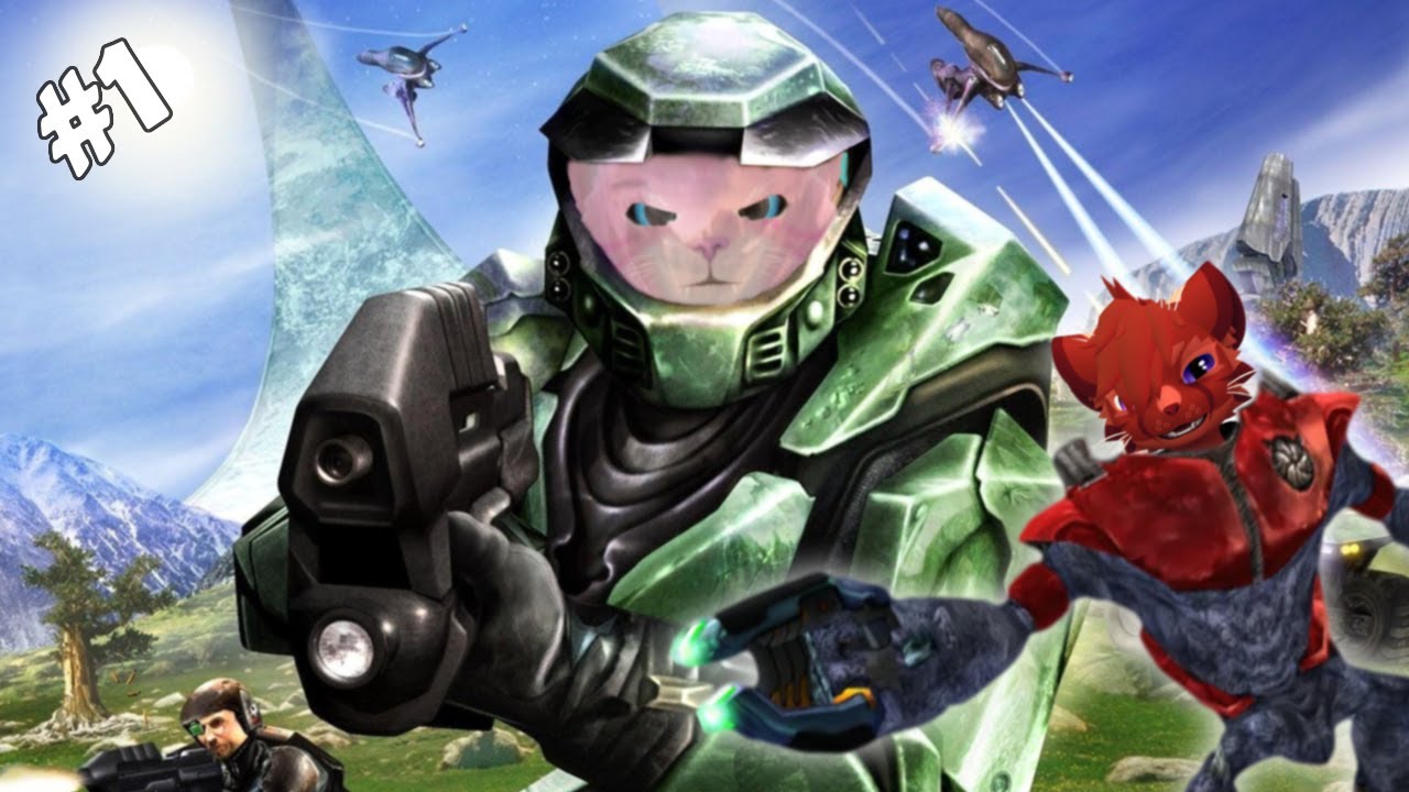 Cat's in space!