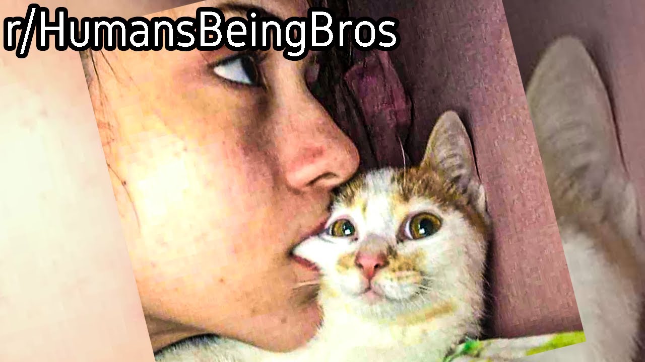 r/HumansBeingBros | Just Takin a Bite...