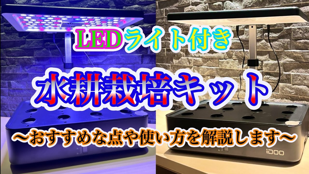 水耕栽培　水耕栽培キットのおすすめ　LED付き〜おすすめな点や使い方を解説〜