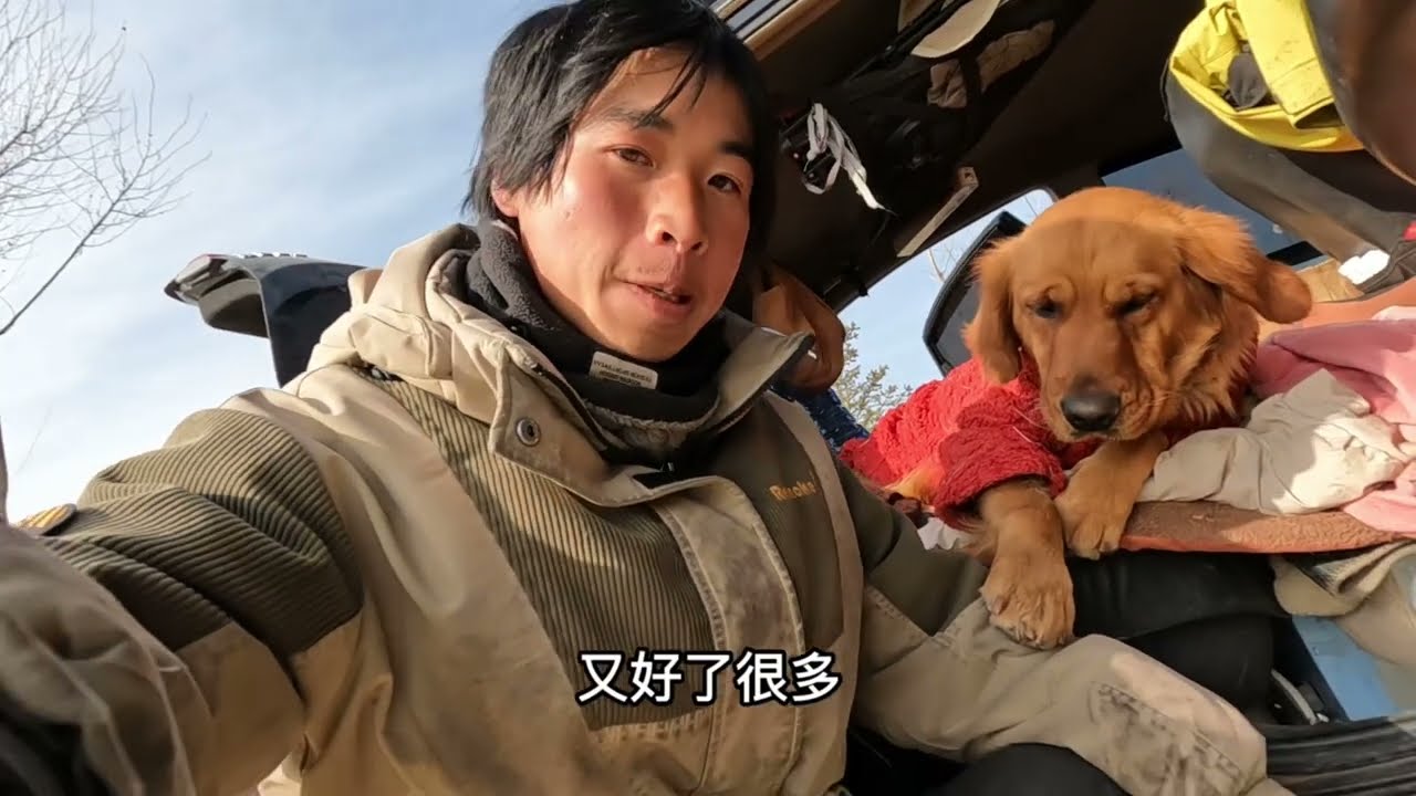 买了饺子回来了，跟狗狗们今天吃饺子！每天都要快快乐乐