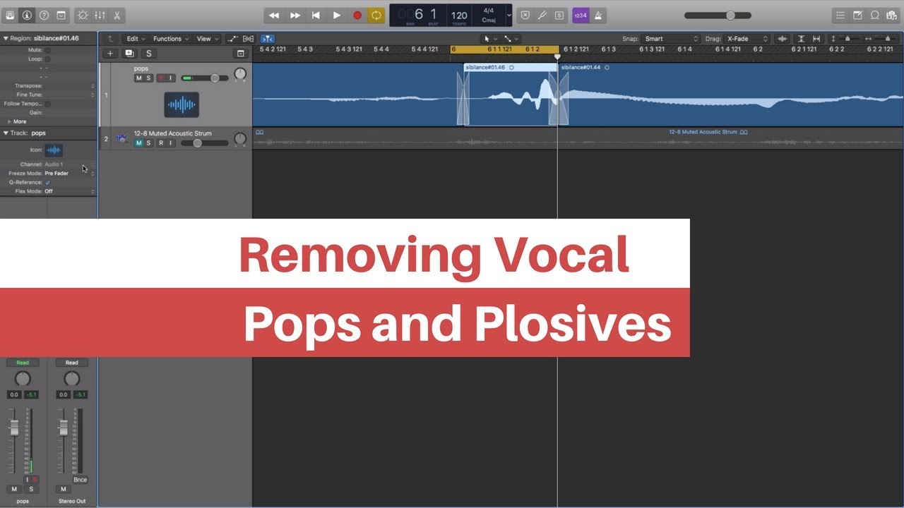 Removing Pops, Plosives, and Harsh Consonants | LAE Viewer Questions #1