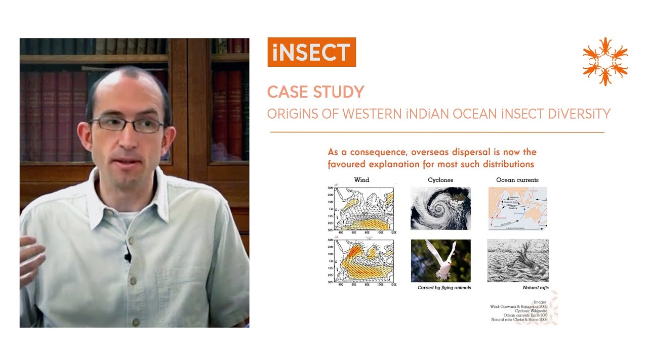 Case study : origins of western Indian Ocean insect diversity