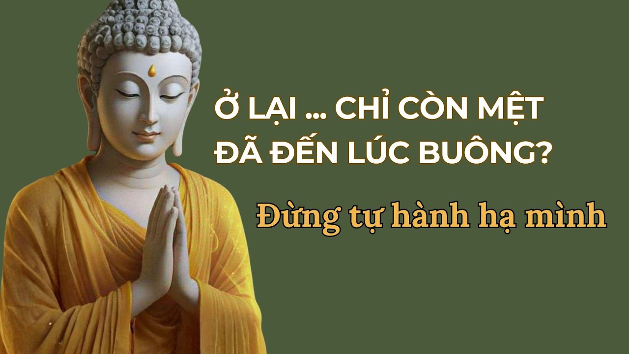 Khi Ở Lại Chỉ Còn Là Chịu Đựng, Có Phải Đã Đến Lúc Buông? | Từ Tâm An