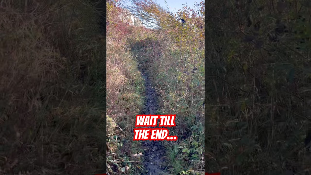 Потрясающий вид во время моей пробежки по пересеченной местности #бег #шорты #бегпотрейлу