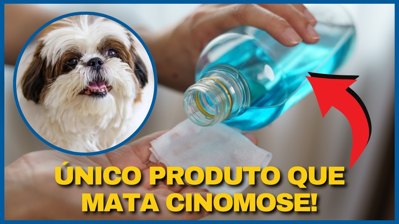 USE EM CASA O ÚNICO PRODUTO QUE ACABA COM VÍRUS, BACTÉRIA, FUNGOS E PROTOZOÁRIOS.