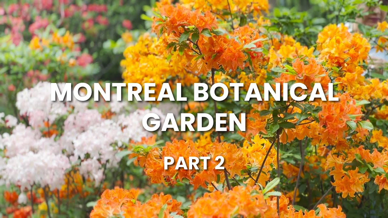 Montreal Botanical Garden Part 2