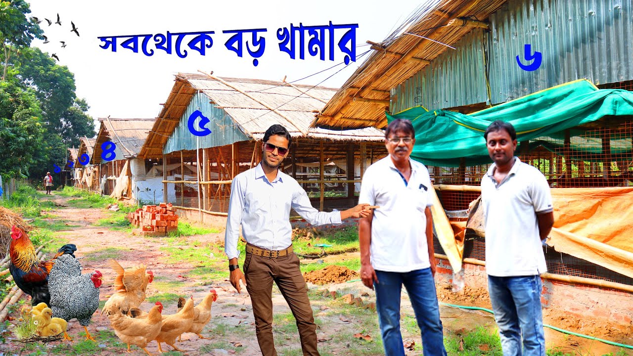 এই খামার থেকে বছরে ৩০ লাখ টাকা আয় হয় || THE BIG FARM IN WEST BENGAL || big sonali murgi