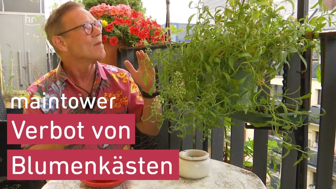 Blumenk&auml;sten auf dem Balkon verboten | maintower