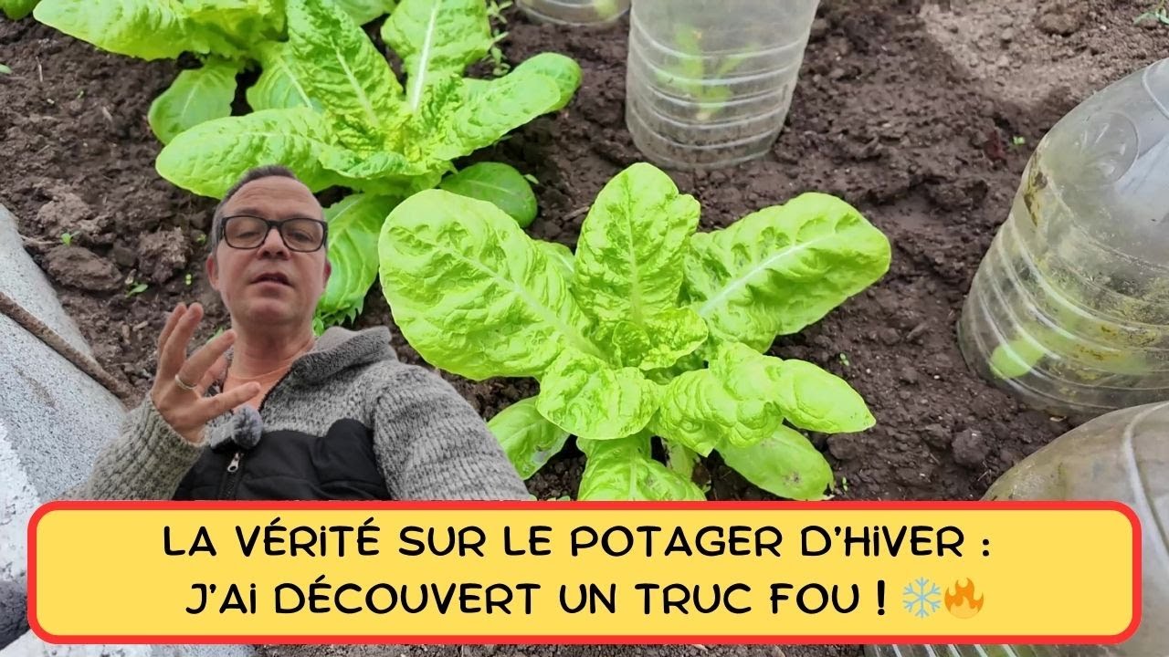 LA VÉRITÉ SUR LE POTAGER D'HIVER J'AI DÉCOUVERT UN TRUC FOU ! ❄️🔥 #permaculture #potager #garden
