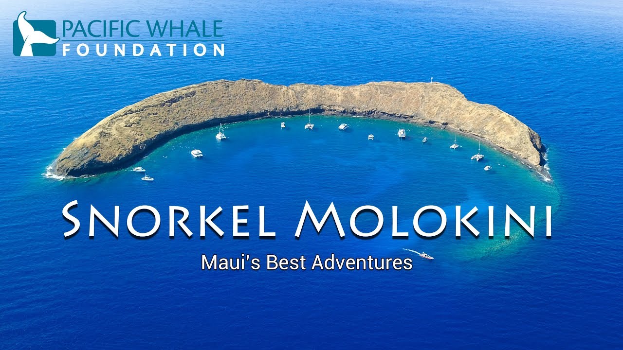 Snorkel Molokini | Pacific Whale Foundation | Maui Tickets for Less | Maui, Hawaii