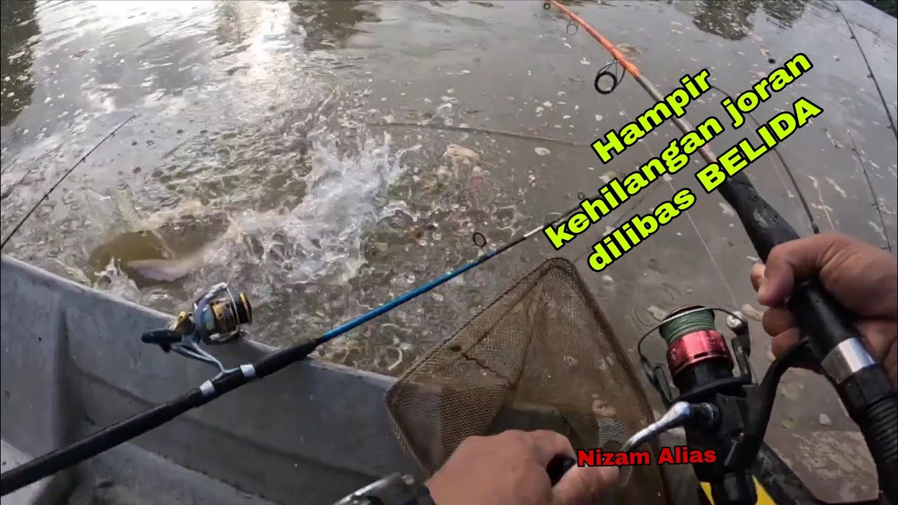 HAMPIR KEHILANGAN JORAN KESAYANGAN DILIBAS BELIDA
