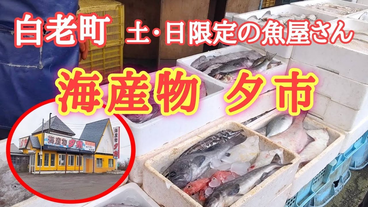 【北海道】白老町にある海産物「夕市」へ🐟️旨いもんを探しにいく😋