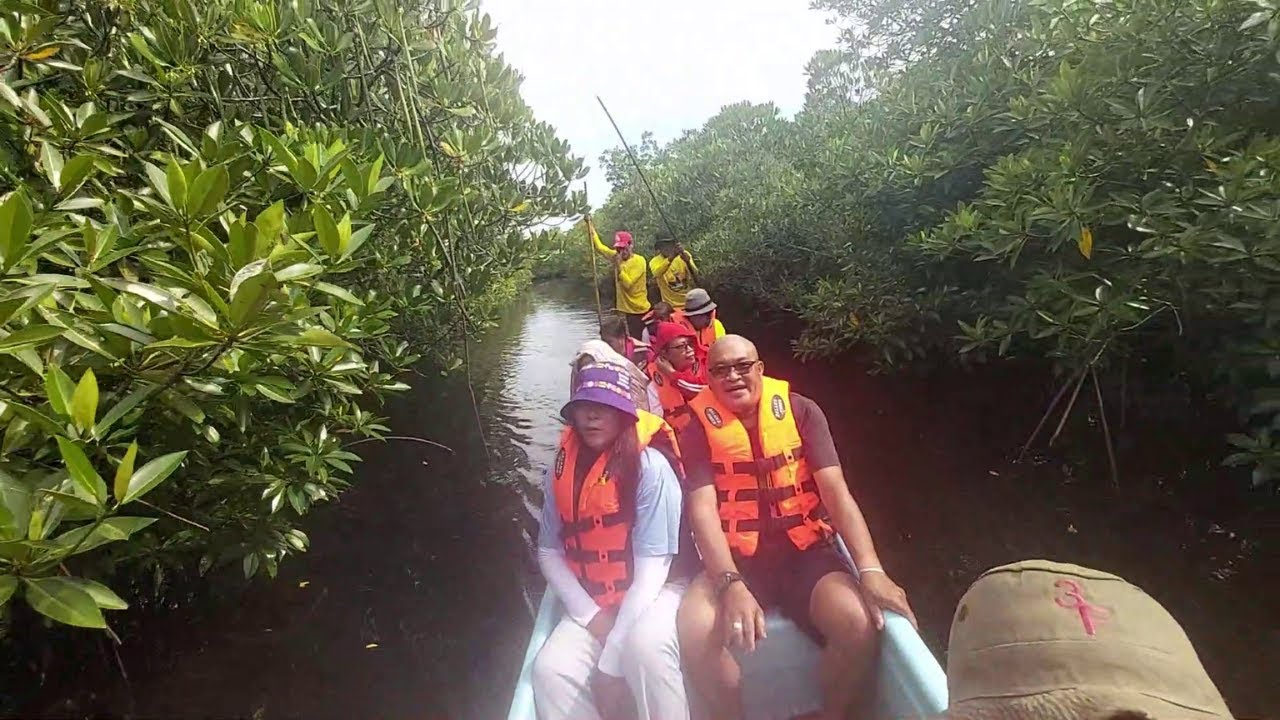 Mangrove Conservation Tour with Batch ’85 - Prieto Diaz  Sorsogon