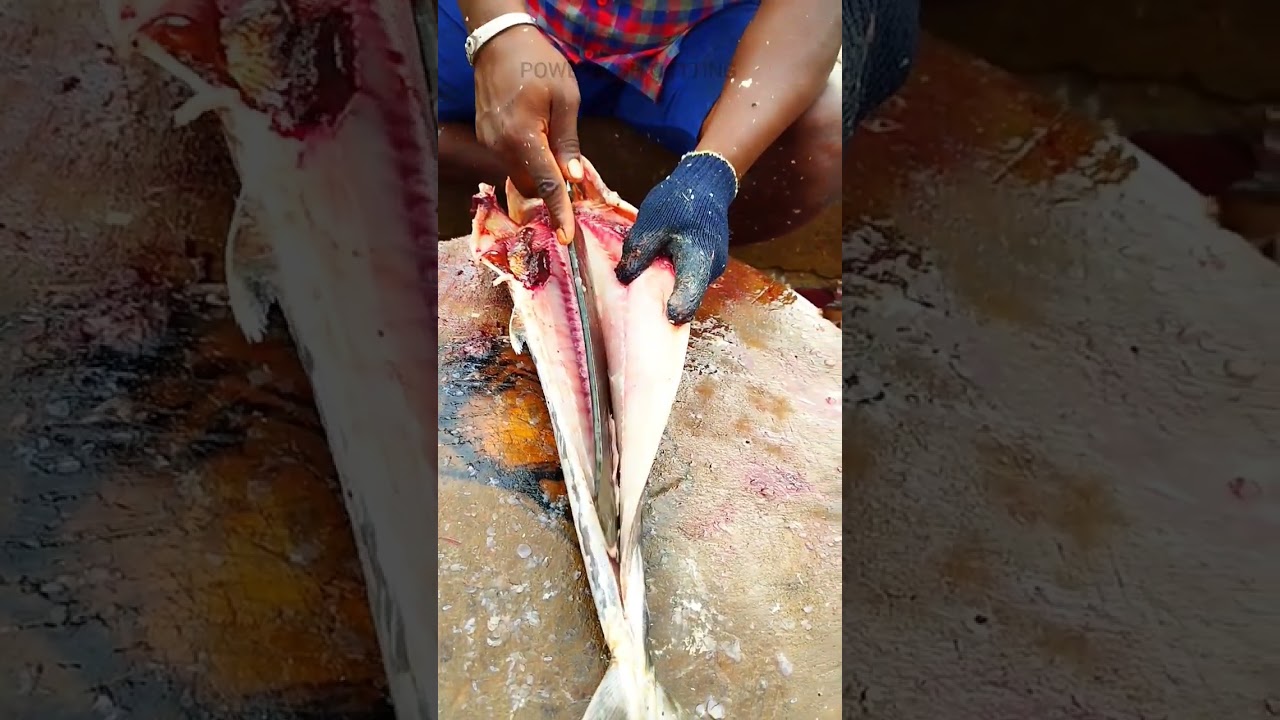 dry fish making video|fish cutting