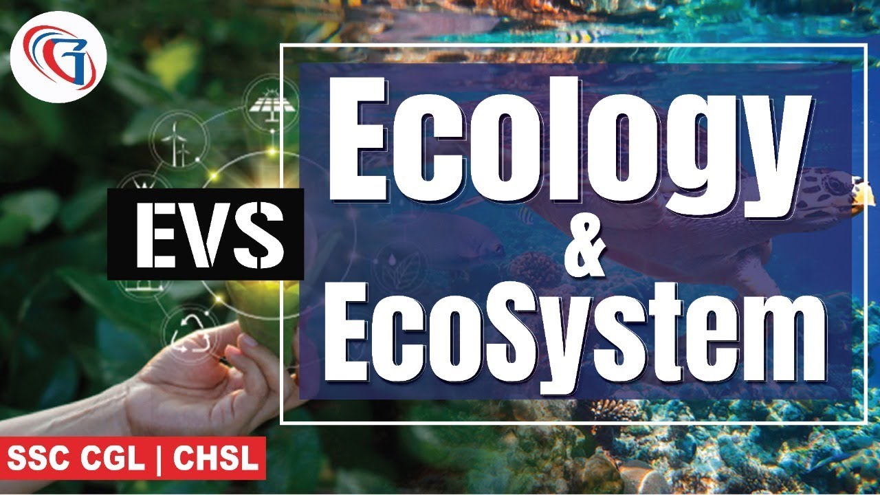 ENVIRONMENT | Ecology & Eco System for SSC CGL | CHSL 2019 | ALL ONE DAY EXAMS