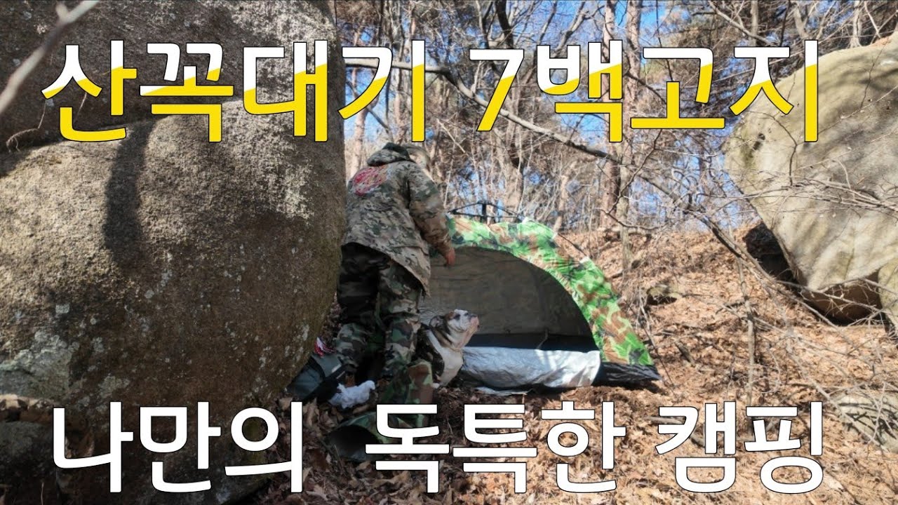 산꼭대기 7백고지 나만의  독특한 캠핑  잉글리쉬불독 칸하고 