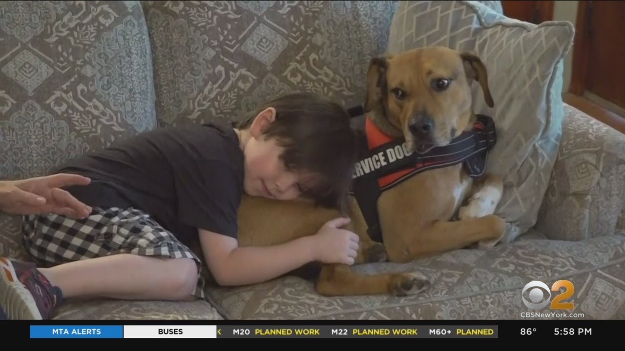 After 2 Years Of Waiting, N.J. Boy On Autism Spectrum Finally Gets His Service Dog