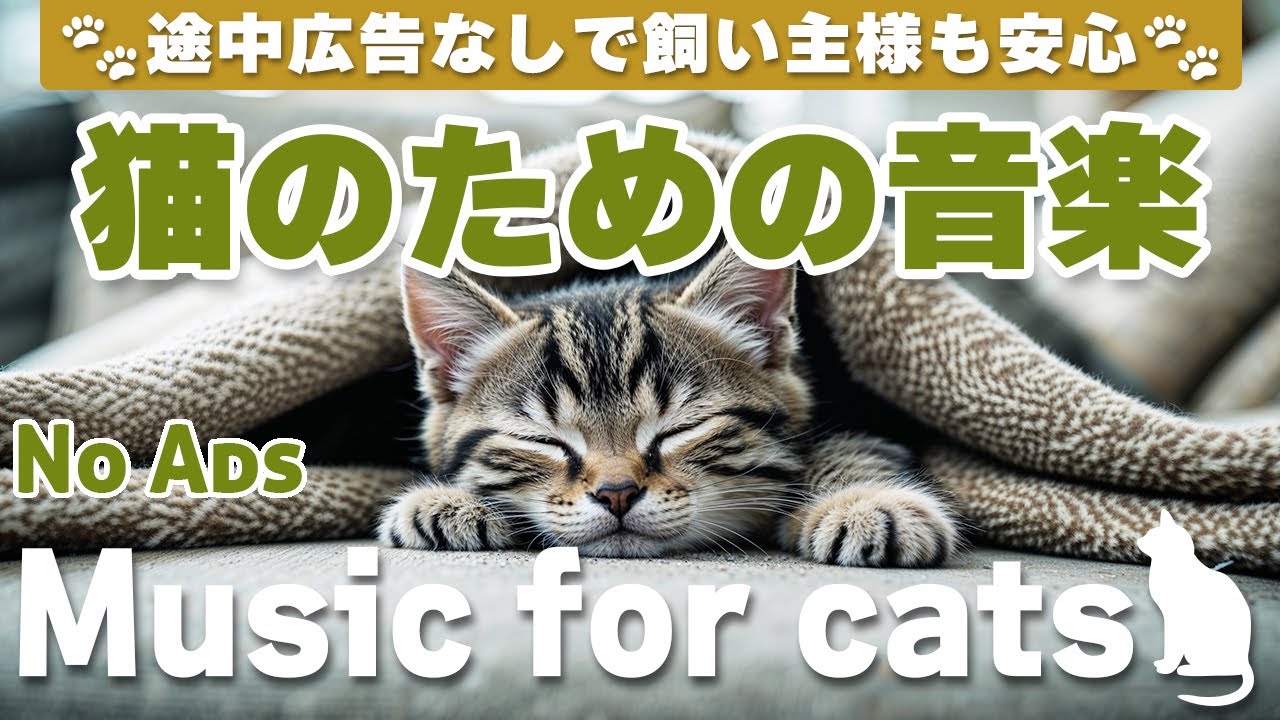 猫が落ち着く音楽 (12時間途中広告なし) 猫が安心する音楽 | お留守番対策 / No Ads/12 hours/Relaxing music for cats_vol.324