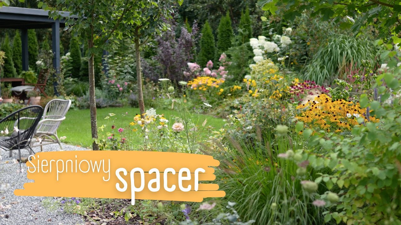 Sierpniowy spacer po całym ogrodzie 🌻