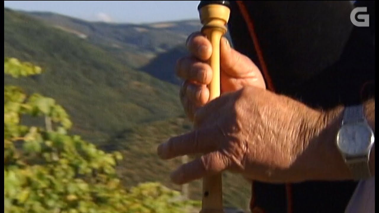 O gaiteiro