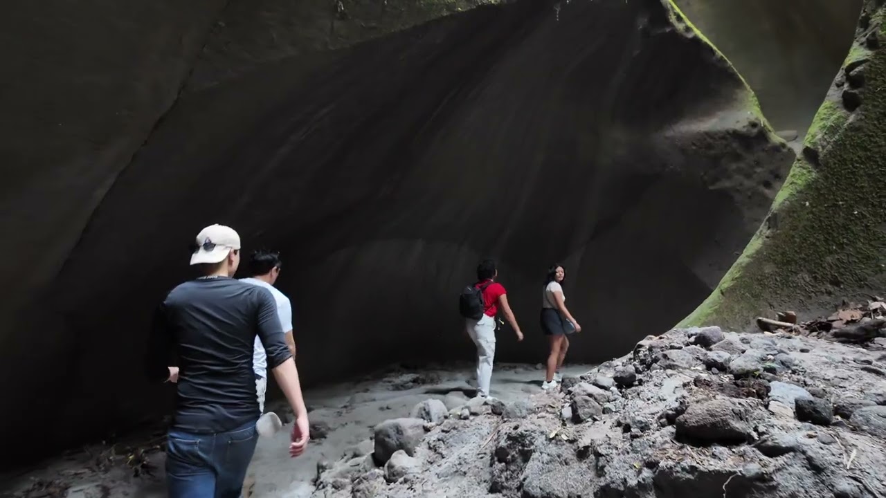 Tutulari Avatar Gorge walking tour