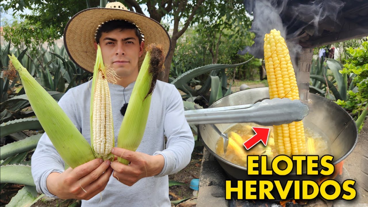 Asi Se Preparan Los ELOTES HERVIDOS Correctamente