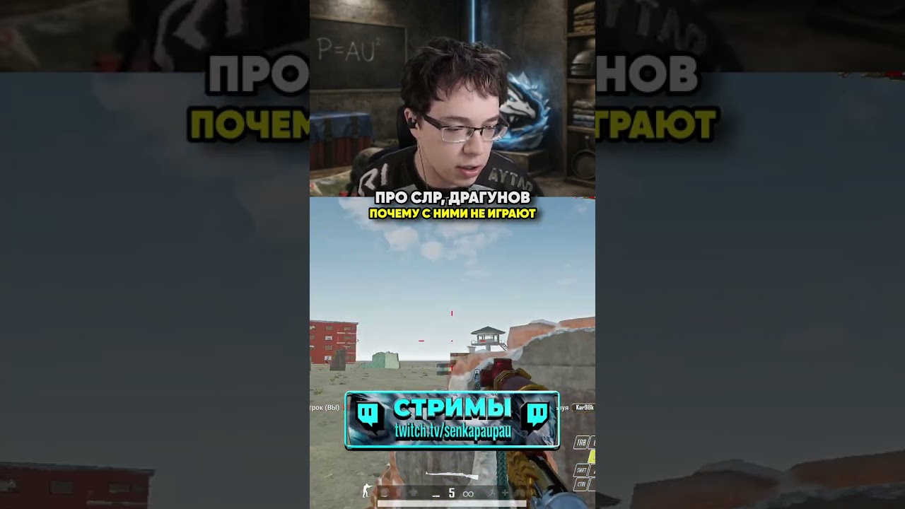 ПОЧЕМУ НЕ ИГРАЮТ С СЛР, ДРАГУНОВЫМ #шортс #пабг #гейминг